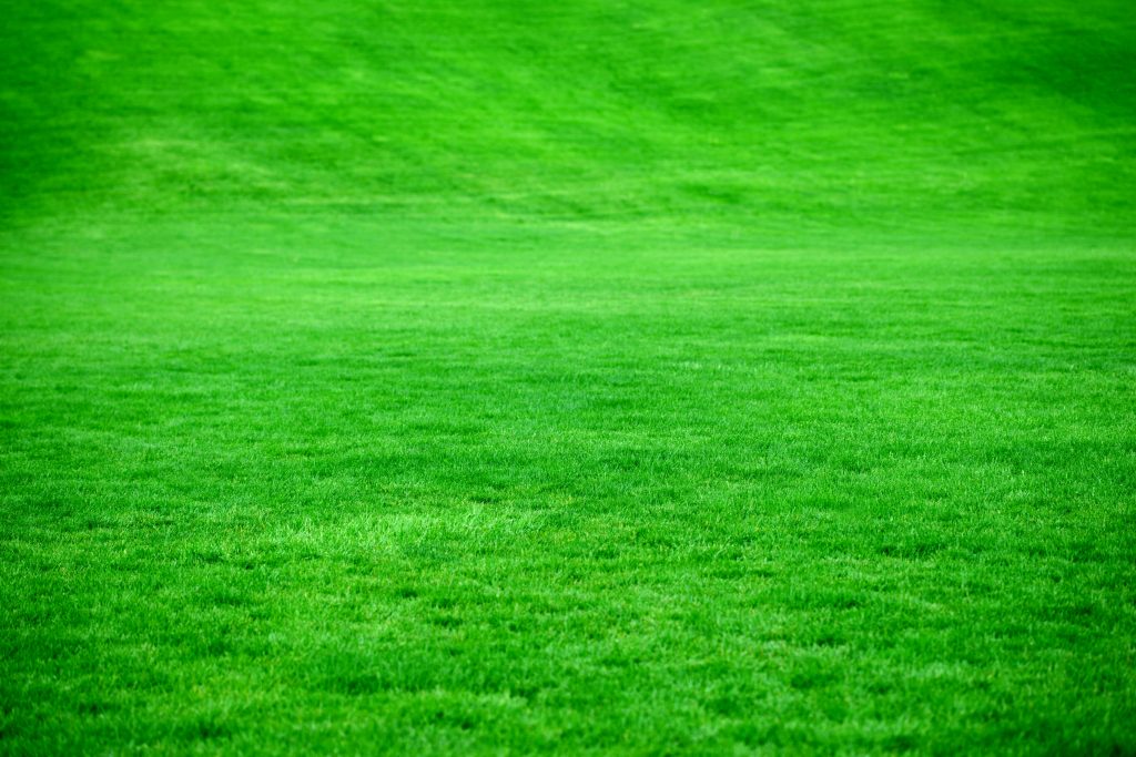 A perfectly kept, green lawn. 